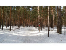 IMG 20180408 102024.jpg