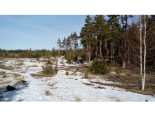 IMG 20180408 083105.jpg