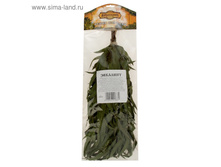 ����� ������������