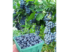 �������� ���������.jpg