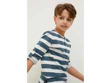 20110170040   Fromm   �������.jpg