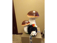 IMG 20180403 145124 HDR.jpg