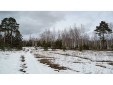 IMG 20180407 123428.jpg