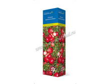 ������ ������������� ��� ������.jpg