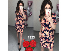 ������ 1323