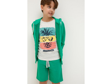 20110420029   Swift   �������.jpg