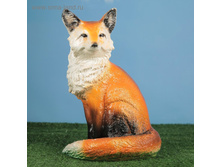 ������� ������ "����" 37��