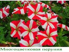������� No3.jpg