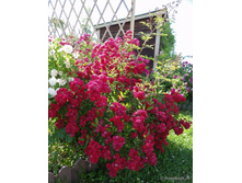 �������� 180� 9��.jpg