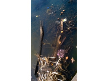 WP 20180425 13 25 57 Pro.jpg