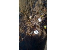 WP 20180425 13 26 07 Pro.jpg