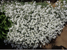 �������. ��������������.