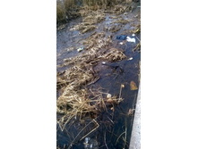 WP 20180425 13 26 51 Pro.jpg