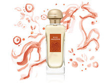 ROSE AMAZONE HERMES � � 100 �� 7600+%+����