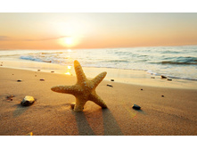 ���������...