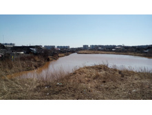 IMG 20180415 120202.jpg