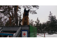 IMG 20180128 114847.jpg