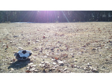 IMG 20180414 163529.jpg