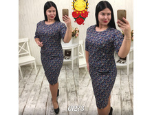 ������ 01273
