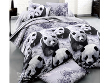 ���������� ����� �� ������� ���.RP-067.jpg