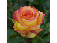 ������� ��� 160� 2��.jpg