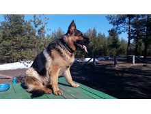 IMG 20180415 090027.jpg