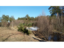 IMG 20180414 163753.jpg