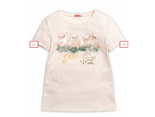 GFT4041 �������� ��� �������.png