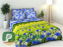 ��� ���� �������� (����� ��������)4268-1 ����������� ����.jpg