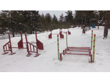 IMG 20180128 111600.jpg