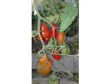 �������� ������� �� ������.jpeg