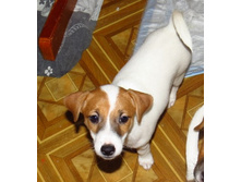 Snap 2018.04.26 21.51.31 003.jpg