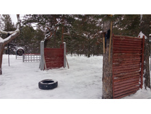 IMG 20180128 111759.jpg