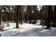 IMG 20180408 104031.jpg