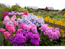 ������ � ����....