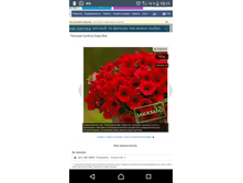 Screenshot 20180423-151138.png