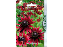 �������� ����� ������. 50 ���.jpg