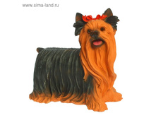 ������� ������ "������� ����"