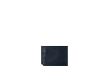 Z.9.LG-BLU.jpg 499 �.