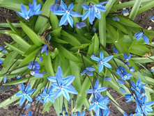 20180430 123645.jpg