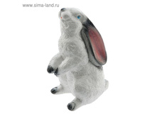 ������� ������ "������� ����" �������