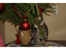 DSC05013.JPG