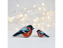 �������� ��� ���� � ����� �������