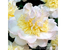 ���� ���� ����.jpg