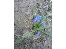 IMG 20180417 161304.jpg