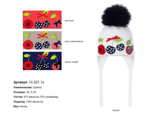 5825778b9740a 572ef839017de201.1.JPG