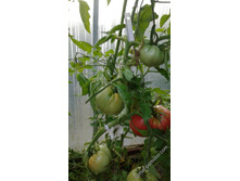 ����������� ���������.jpeg