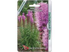 ������� ���������� �������� ������. 28 ���.jpg