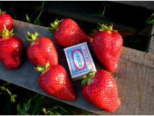 ��������� ����� ������ ���, 50 ��� (�������� 19��).jpg