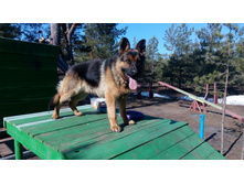 IMG 20180415 090004.jpg